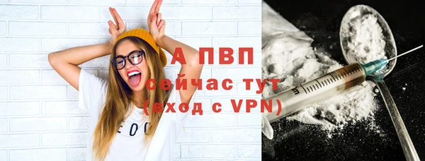 индика Армянск