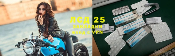 индика Армянск