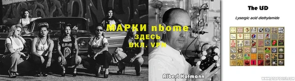 индика Армянск