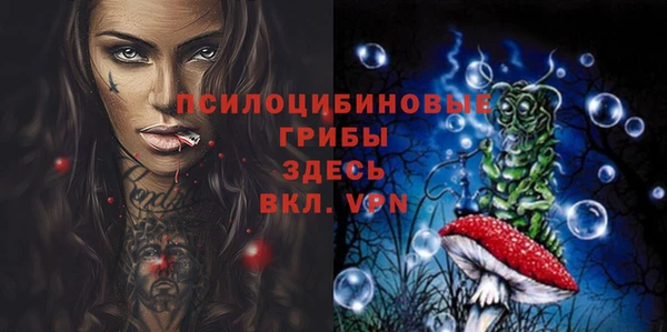 индика Армянск