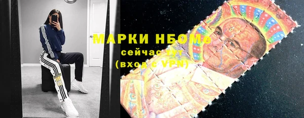 индика Армянск