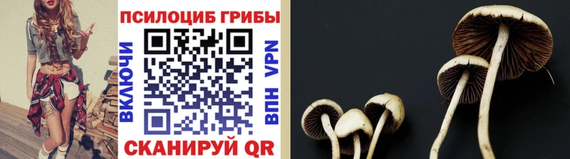 Галлюциногенные грибы прущие грибы  Родники 